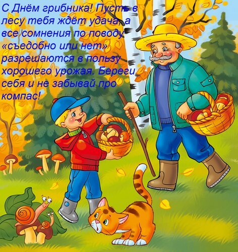 Открытка С Днём грибника! Пусть в лесу тебя ждёт удача, а все сомнения по поводу «съедобно или нет» разрешают