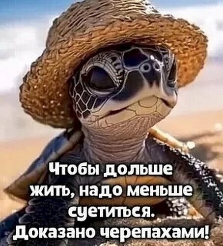 Открытка чтобы дольше жить не суетиться