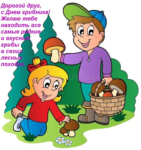 Открытка Дорогой друг, с Днем грибника! Желаю тебе находить все самые редкие и вкусные грибы в своих лесных п
