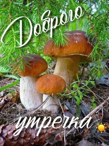 Открытка Доброе осеннее утро