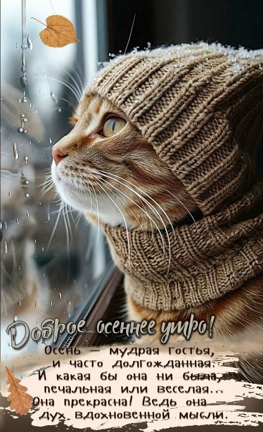Открытка доброе осеннее утро