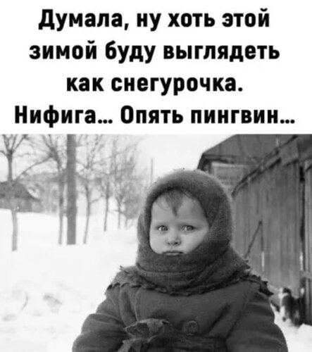 Открытка опять пингвин