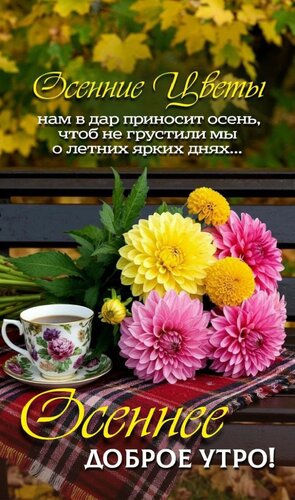 Открытка Осеннее доброе утро