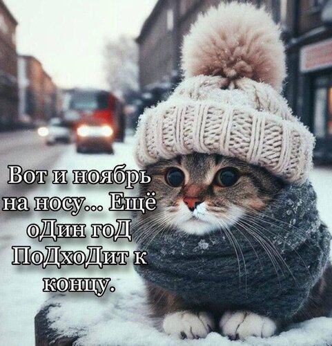 Открытка Вот и ноябрь