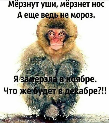 Открытка Мёрзнут уши мёрзнет нос