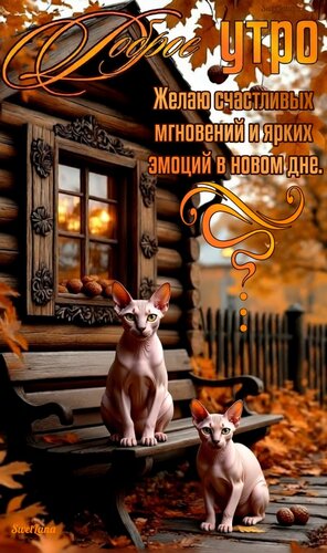 Открытка Доброе утро
