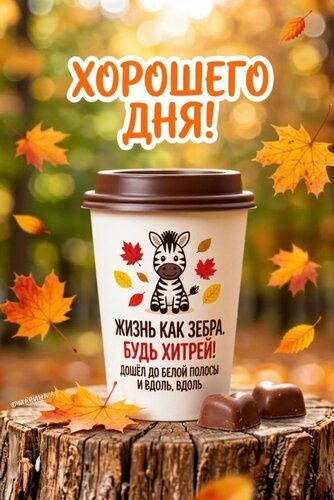 Открытка ХОРОШЕГО ДНЯ! ЖИЗНЬ КАК ЗЕБРА. БУДЬ ХИТРЕЙ! ДОШЕЛ ДО БЕЛОЙ ПОЛОСЫ И ВДОЛЬ, ВДОЛЬ...