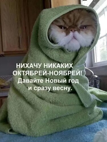 Открытка нихачу никаких октябрей