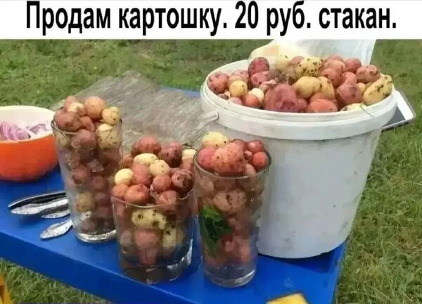 Открытка Стакан картошки