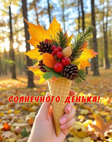 Открытка Солнечного денька