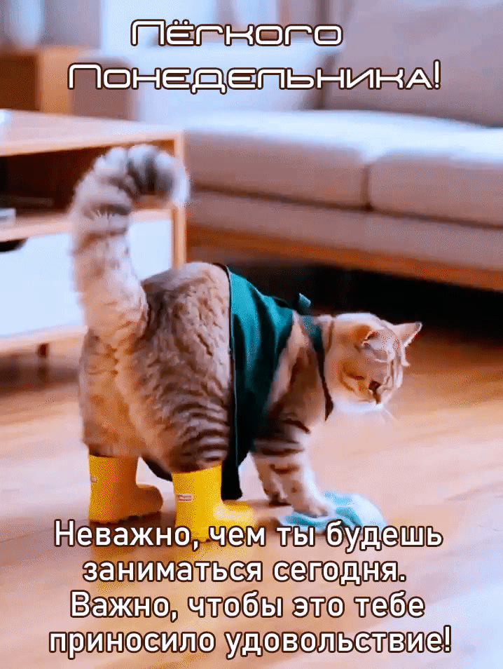 Анимированная открытка Лёгкого понедельника! Не важно чем ты будешь заниматься сегодня. Важно, чтобы это тебе приносило удо