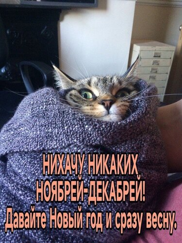 Открытка никаких ноябрей