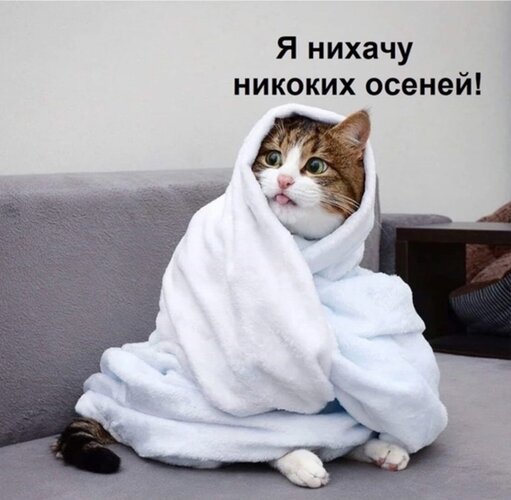 Открытка никоких осеней
