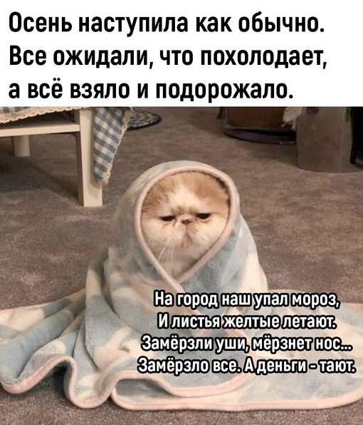 Открытка осень