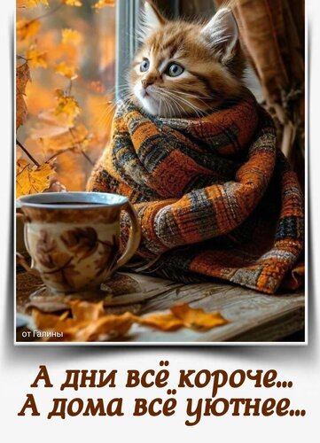 Открытка А дни всё короче