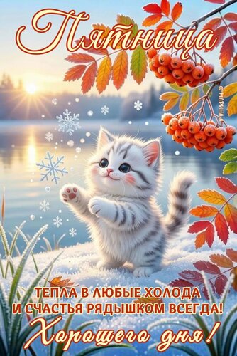 Открытка ПЯТНИЦА. ТЕПЛА В ЛЮБЫЕ ХОЛОДА И СЧАСТЬЯ РЯДЫШКОМ ВСЕГДА! ХОРОШЕГО ДНЯ!