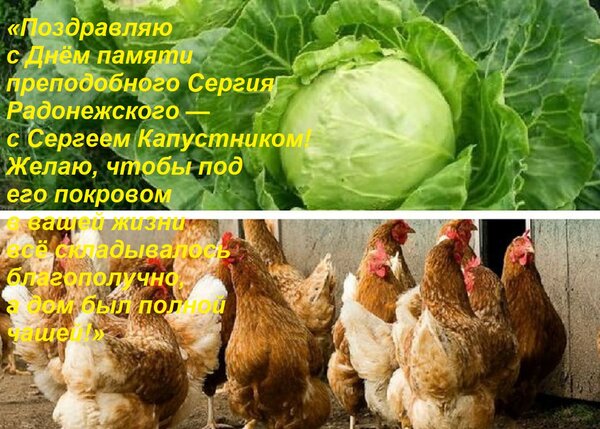 Открытка «Поздравляю с Днём памяти преподобного Сергия Радонежского — с Сергеем Капустником! Желаю, чтобы по