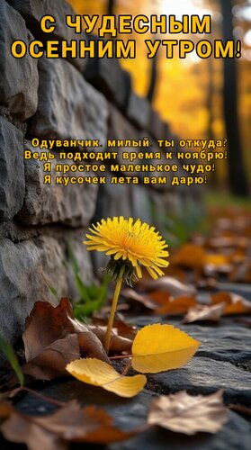 Открытка С чудесным осенним утром