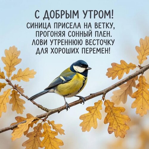 Открытка С добрым утром!