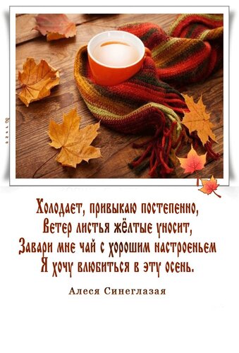 Открытка я хочу влюбиться в эту осень