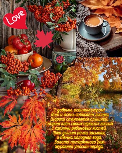 Открытка С добрым осенним утром