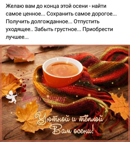 Открытка Уютной и тёплой осени