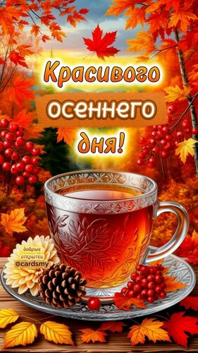 Открытка Доброго дня