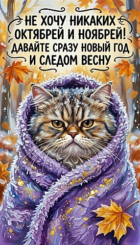 Открытка ЮМОР