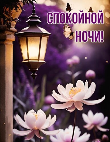 Открытка Спокойной ночи