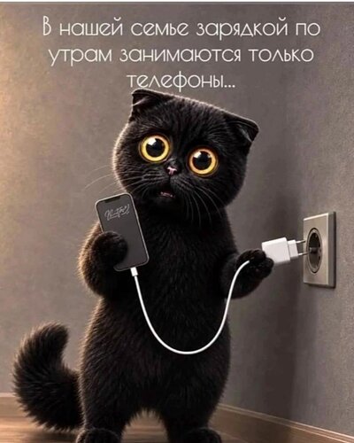 Открытка Утром зарядка