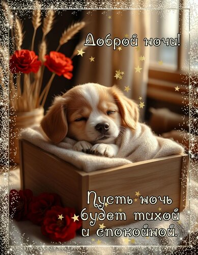 Открытка Доброй ночи