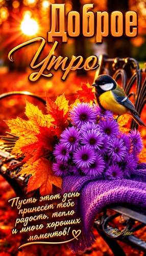 Открытка Доброе утро