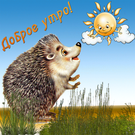 Анимированная открытка Доброе утро