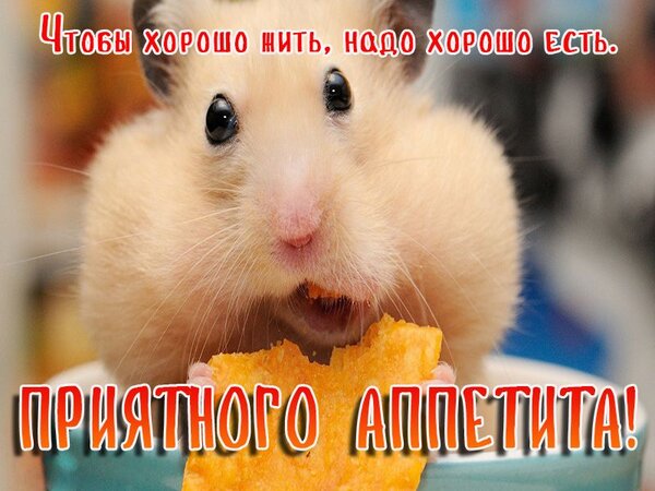 Открытка Приятного аппетита