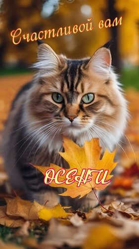 Открытка Счастливой вам осени