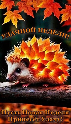 Открытка УДАЧНОЙ НЕДЕЛИ!