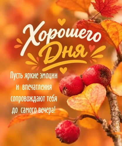 Открытка Пусть яркие эмоции и впечатления сопровождают тебя до самого вечера!