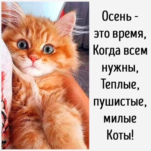 Открытка Осень