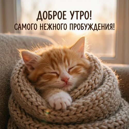 Открытка Доброе утро! Самого нежного пробуждения!