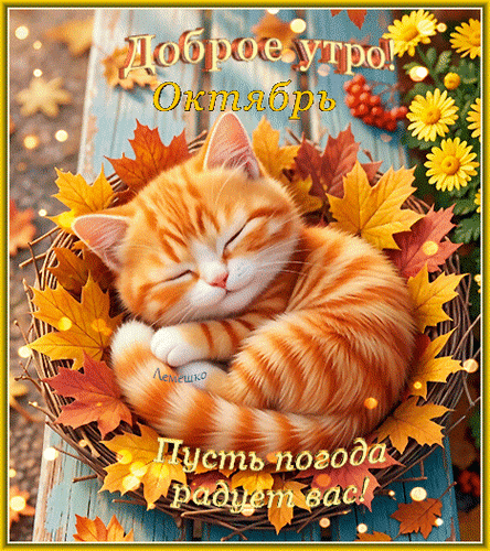 Анимированная открытка Доброе утро! Октябрь Пусть погода радует вас!