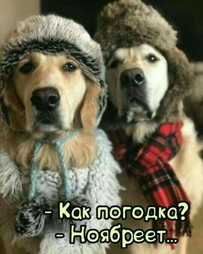Открытка как погодка ноябреет
