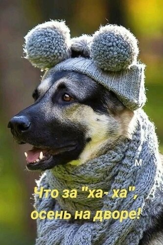 Открытка осень на дворе