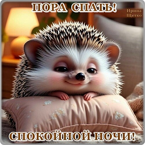 Открытка СПОКОЙНОЙ НОЧИ!