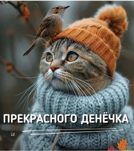 Открытка Прекрасного денёчка