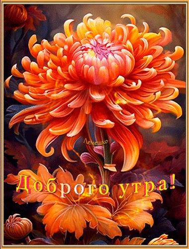 Анимированная открытка Доброго утра! Доброго дня!
