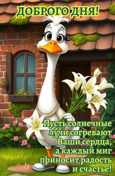Открытка Доброго дня