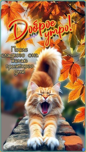 Открытка Доброе утро