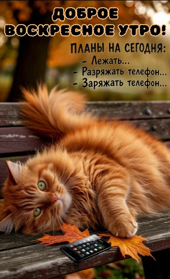 Открытка Доброе воскресное утро