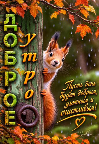 Открытка Доброе утро.