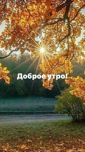 Открытка Доброе утро